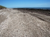 La spiaggia di Monte Hermoso dove Darwin scoprì fossili di antichi mammiferi estinti
