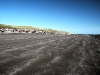 La spiaggia di Monte Hermoso dove Darwin scoprì fossili di antichi mammiferi estinti