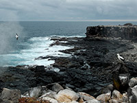 Il soffio dell'oceano a Punta Suarez, sull'isola Española