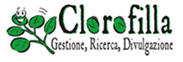 clorofilla