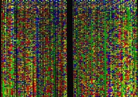 Sequenze di DNA