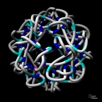 Filamento dell'RNA del virus satellite del mosaico del tabacco