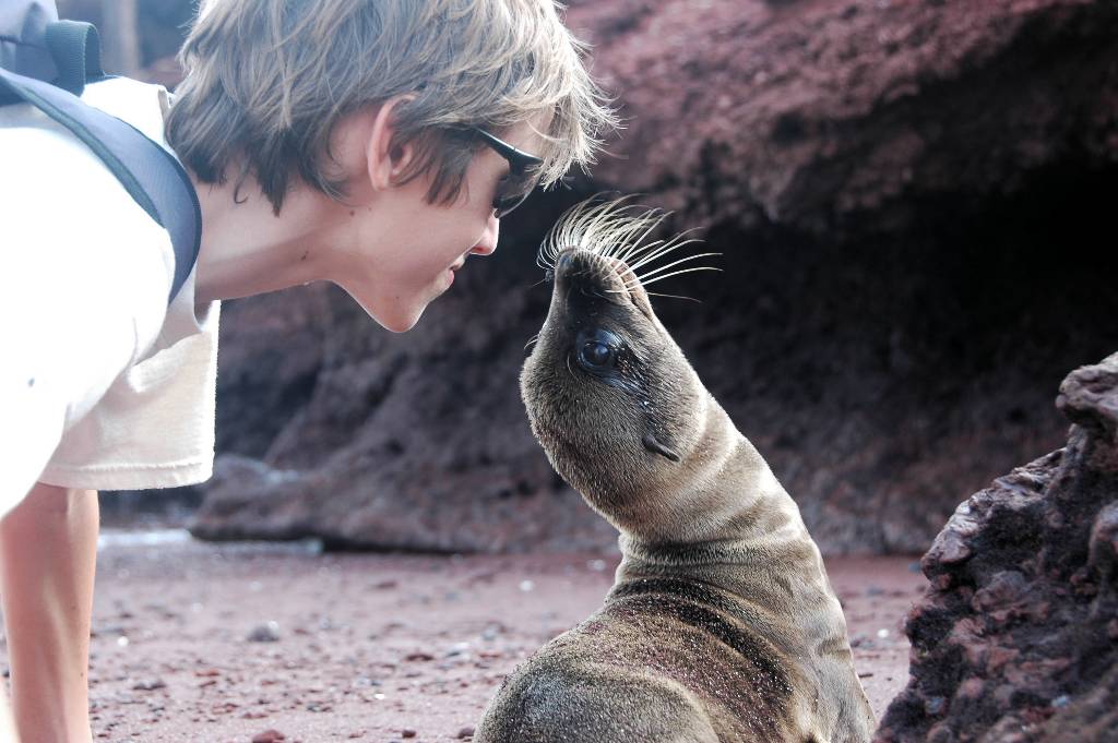 Tommaso e il bacio dell'otaria (Galapagos)