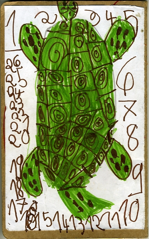 La tartaruga Isabela (1)