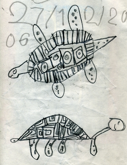 La tartaruga Isabela di profilo e dall'alto (2)