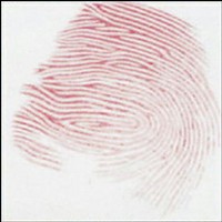 L'impronta del polpastrello di Leonardo da Vinci