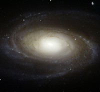 La galassia a spirale M81