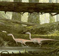 Dinosauri Coelophysis del periodo Triassico