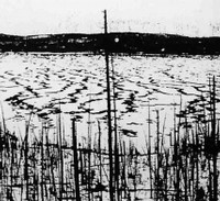Effetti dell'esplosione dell'asteroide Tunguska in Siberia nel 1908