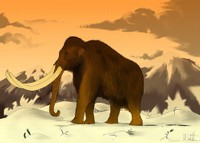 Disegno raffigurante un mammut