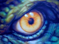L'occhio di Dino