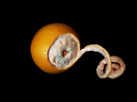 Buccia d'arancia