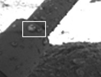 Goccioline d'acqua sui sostegni della sonda Phoenix